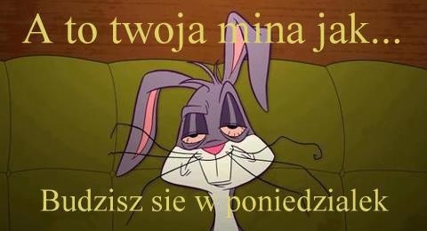 Królik Buggs w poniedziałek rano